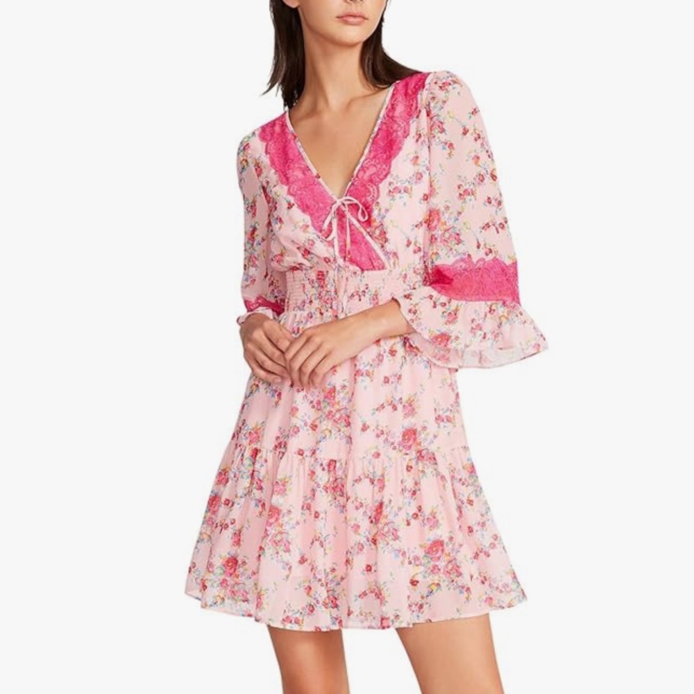 Betsey Johnson Bush Gardens Printed Georgette Dress